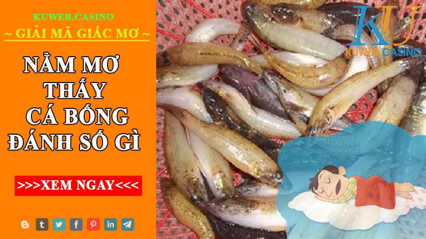 Mơ thấy cá bống là điềm báo gì?