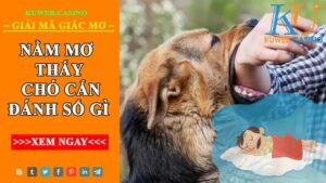                      Mơ thấy chó cắn đánh gì cho hợp lý? Điềm báo ra sao
