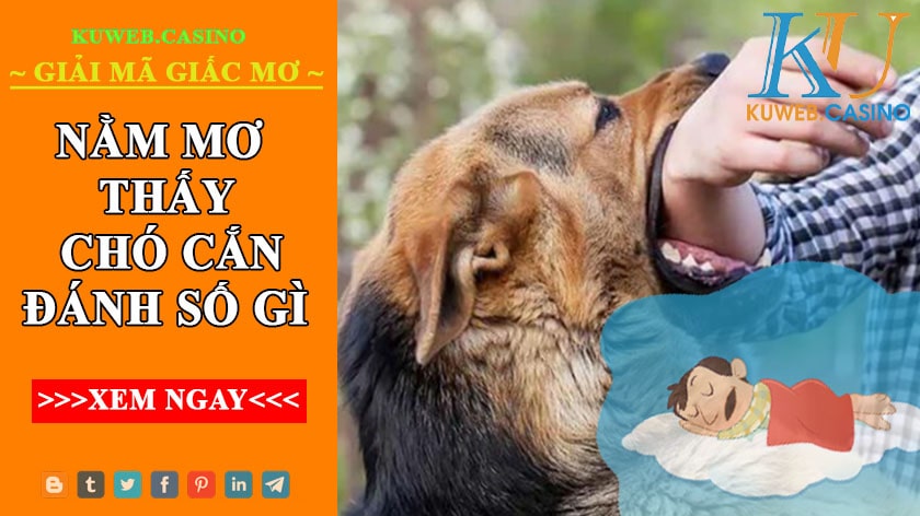                      Mơ thấy chó cắn đánh gì cho hợp lý? Điềm báo ra sao