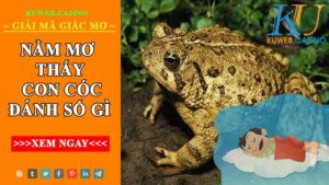                          Nằm mơ thấy con cóc đánh gì? Có ý nghĩa gì?