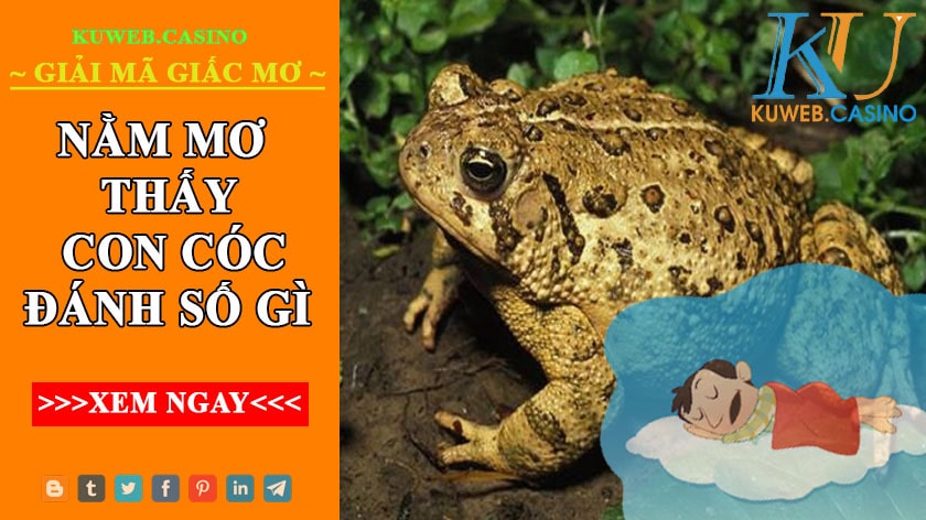 Nằm mơ thấy con cóc đánh gì? Có ý nghĩa gì?