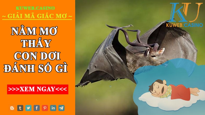                                      Điềm báo khi mơ thấy dơi?