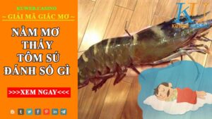                                             Gặp tôm sú trong giấc chiêm bao