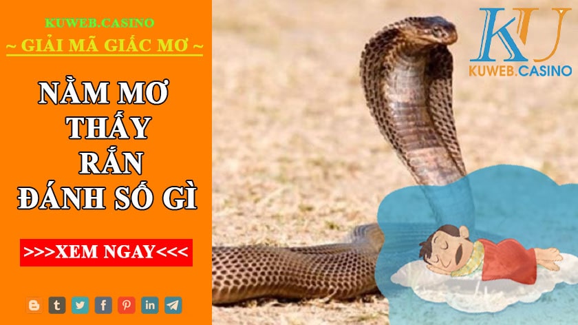 Giải mã giấc chiêm bao thấy rắn