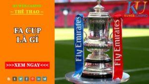 FA Cup là gì ? Giải đáp chi tiết về giải bóng đá thế giới lâu đời nhất