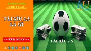 Kèo tài xỉu 2.5 là gì? Hướng dẫn kinh nghiệm khi chơi kèo