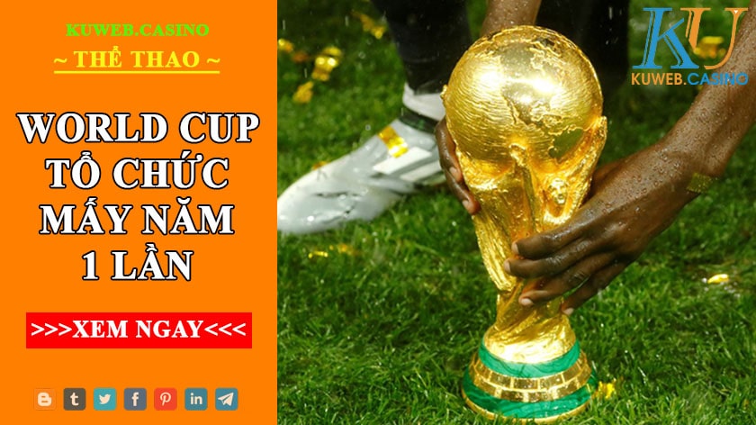 World cup tổ chức mấy năm một lần? Đôi nét về giải World Cup