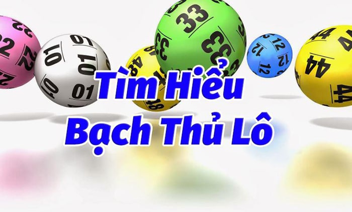 Bạch thủ lô là gì