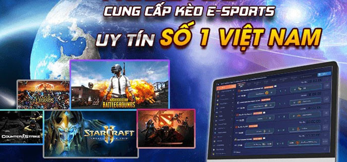 Thương hiệu này cung cấp những dịch vụ cá cược nào?