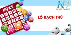 Soi cầu bạch thủ lô kép hôm nay chính xác tỷ lệ về cao