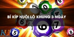 Soi Cầu Bạch Thủ Lô Kép Nuôi Khung 3 Ngày Chính Xác