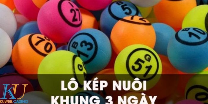 Cách soi lô nuôi khung