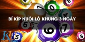 Soi Cầu Bạch Thủ Lô Khung 3 Ngày - Bí Kíp Từ Cao Thủ Lâu Năm